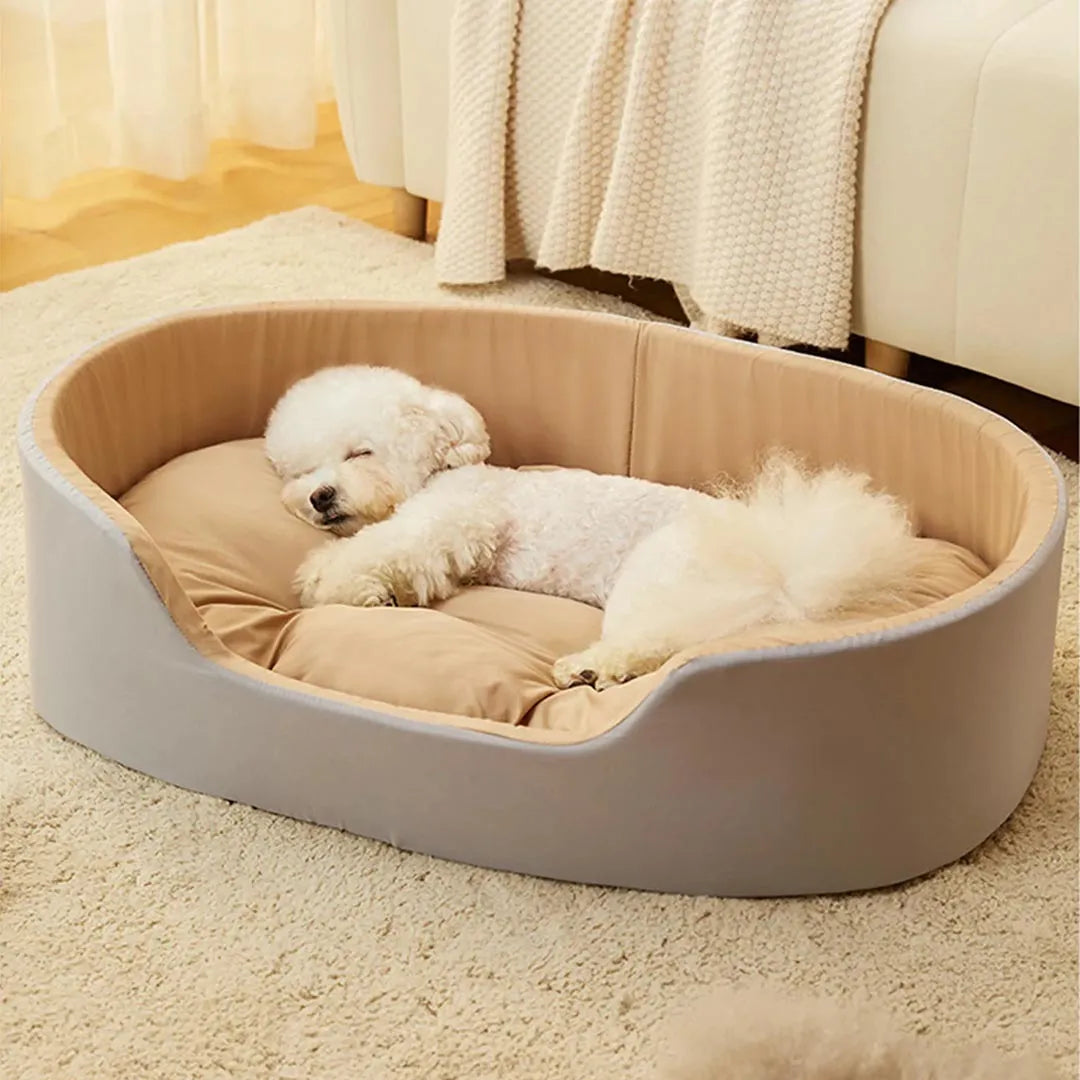 Deluxe Pet Bed with Removable Cushion