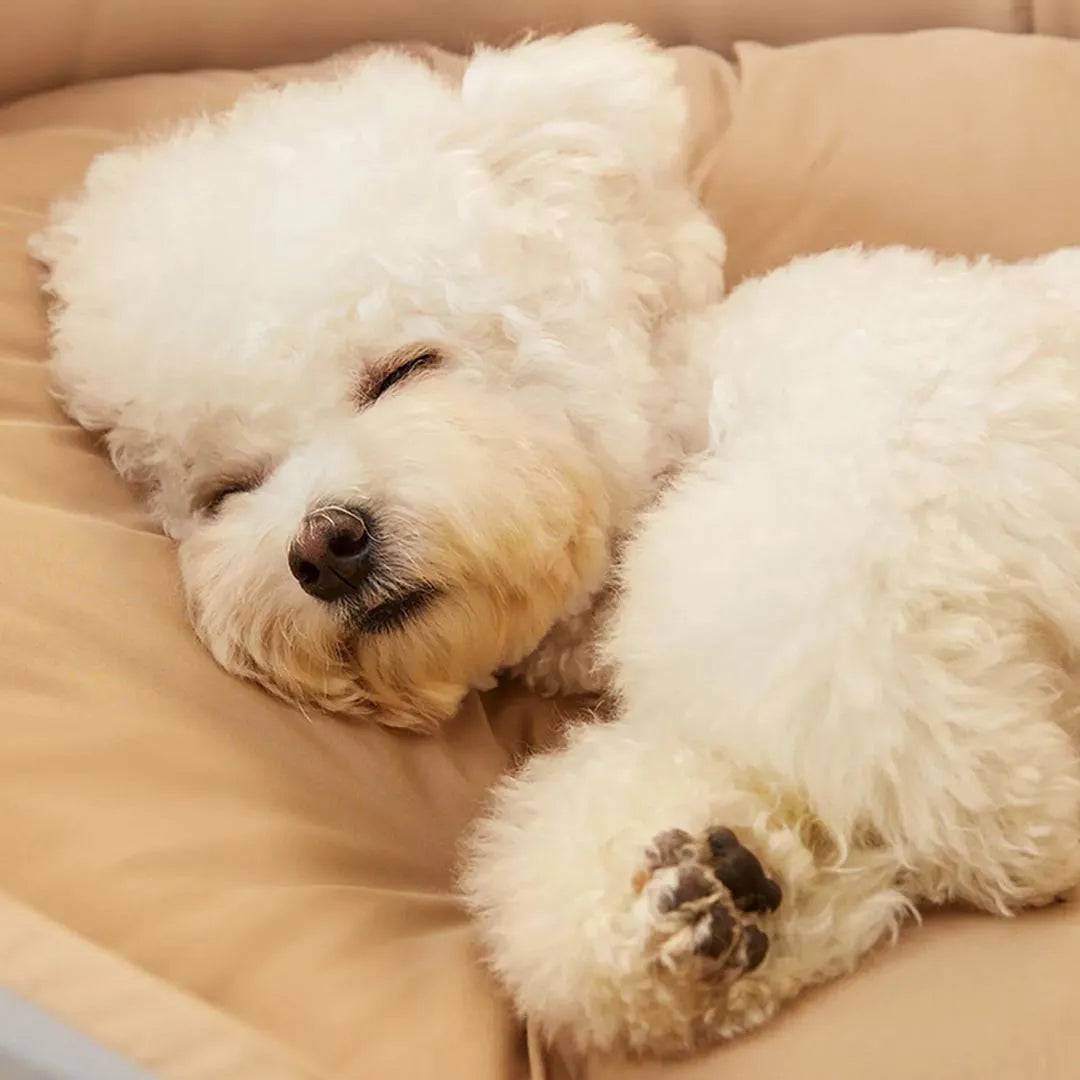 Deluxe Pet Bed with Removable Cushion