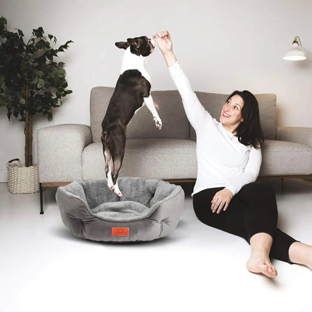 Comfy Bed for Cats and Dogs