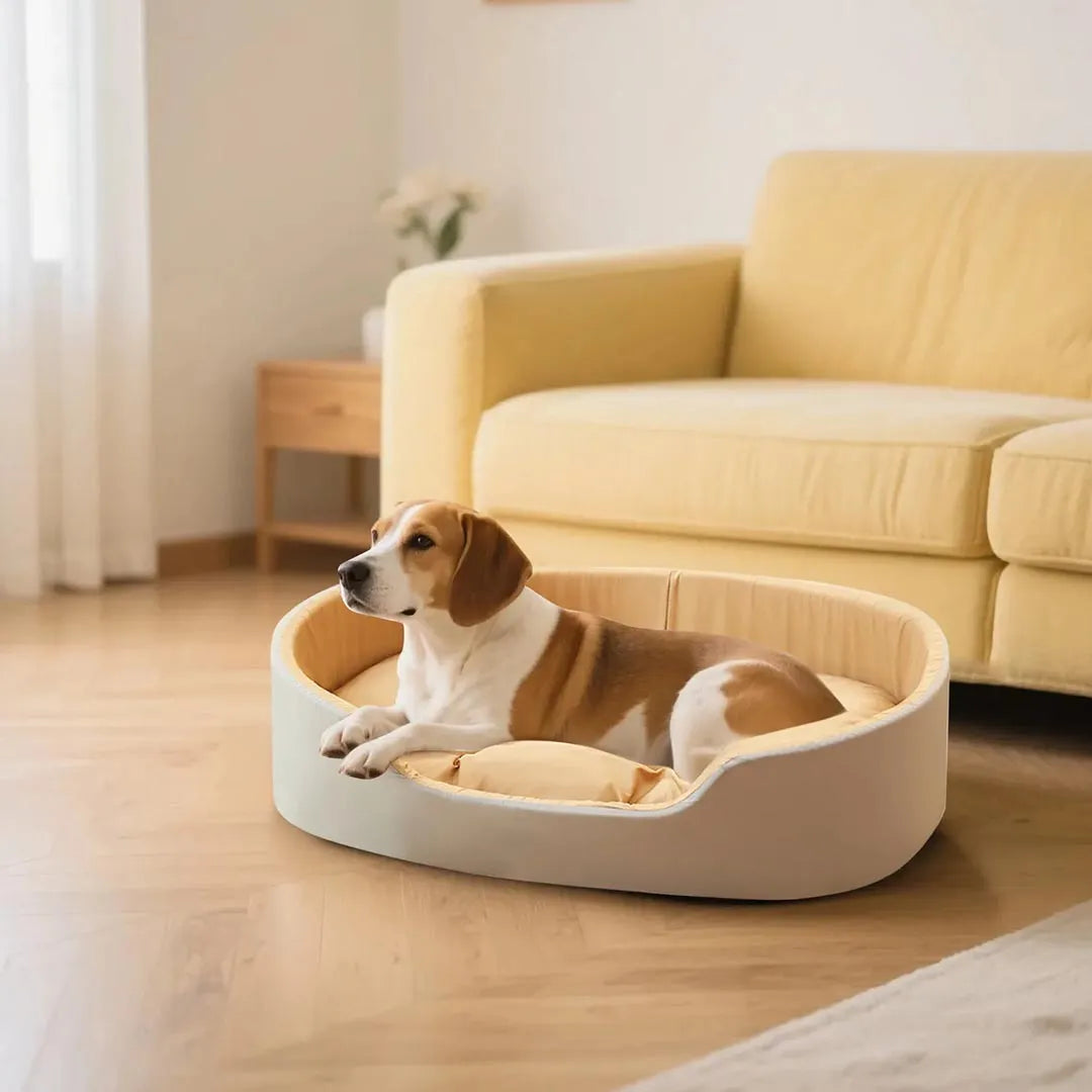 Deluxe Pet Bed with Removable Cushion