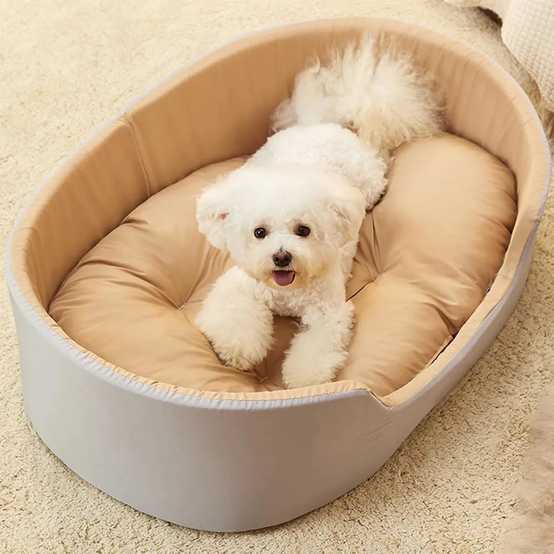 Deluxe Pet Bed with Removable Cushion